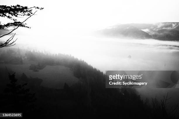 foggy river valley landscape - columbia river gorge stock pictures, royalty-free photos & images