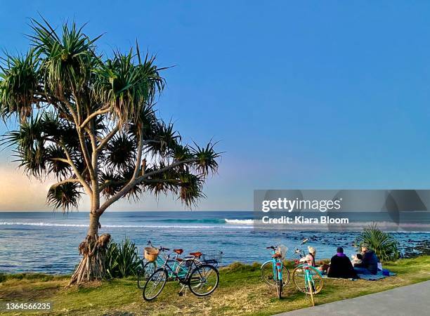 friends winter beach picnic at dusk - long weekend australia stock pictures, royalty-free photos & images