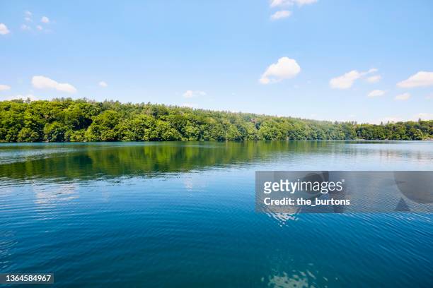 idyllic lake and forest in summer, blue ska and clouds are reflected in the smooth water - lakeshore stockfoto's en -beelden