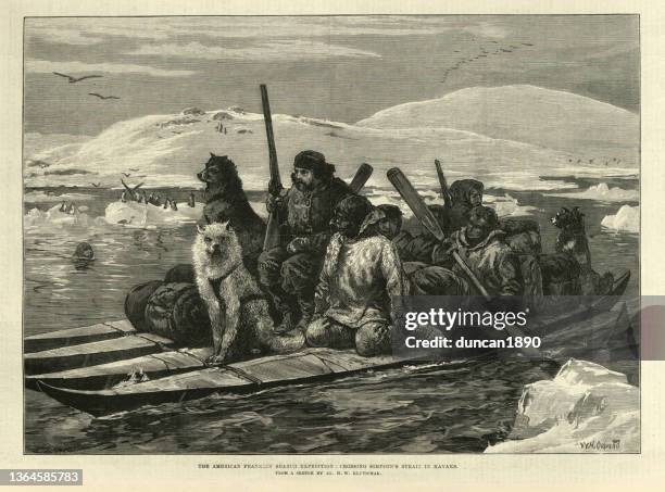 schwatka's search for franklin's expedition, crossing simpson's strait in kayaks, 19th century arctic explorers - siberian husky stock illustrations