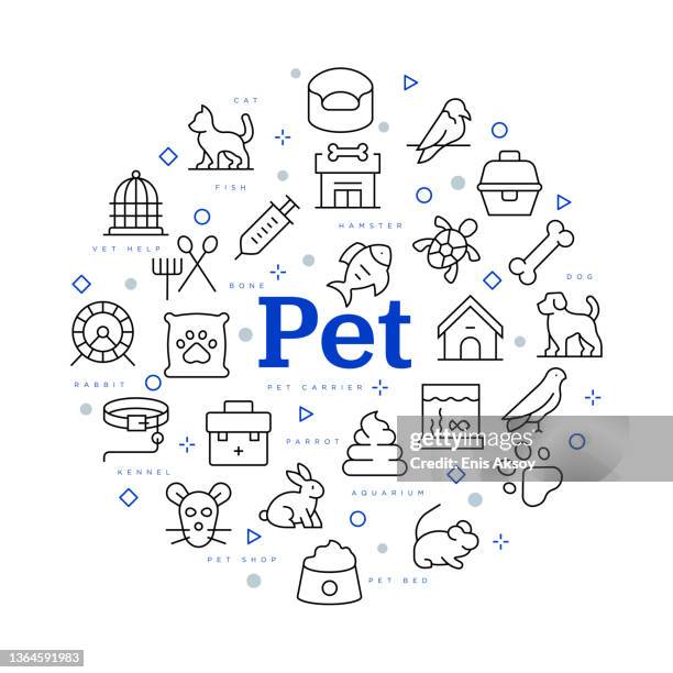 pet concept. vector design with icons and keywords. - infographics business store stock illustrations