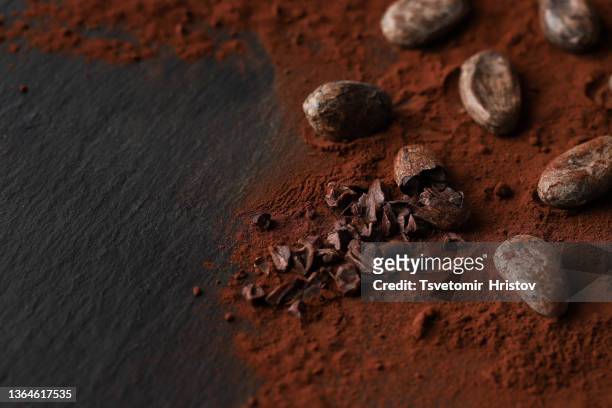 cocoa beans and cocoa powder on dark background - cacau imagens e fotografias de stock