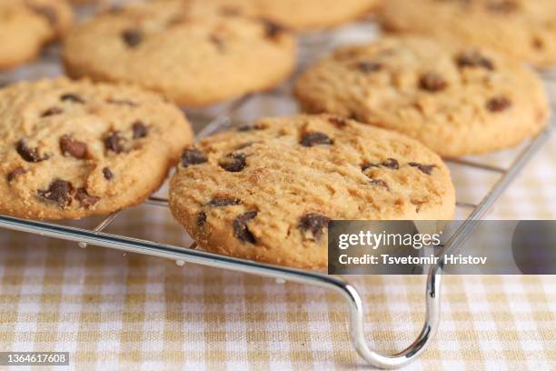 delicious cookies with chocolate chips on metal grid. chocolate chip cookies shot. - metal grate bildbanksfoton och bilder