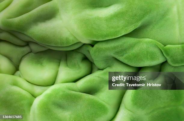 vegetable background of raw brussels cabbage. botanical green background. abstract green background. macro shoot. - makrofotografi bildbanksfoton och bilder