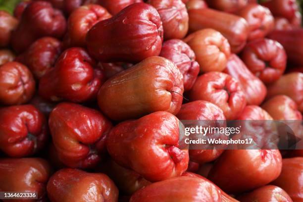 water apple (jambu fruit) - water apples stock pictures, royalty-free photos & images