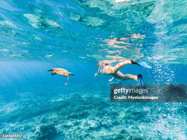 young woman snorkelling beside a green turtle in a clear blue water, tropical vacations destination - malediven stockfoto's en -beelden