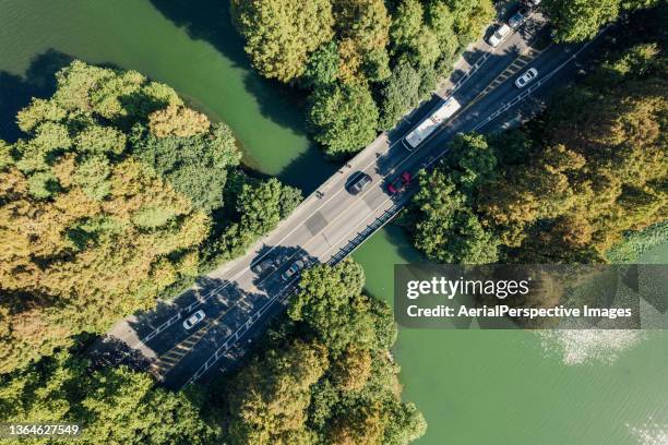 road through the lake and tree area - green bridge over trees stock pictures, royalty-free photos & images