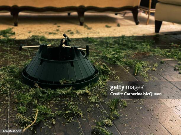 holiday blues: cleaning up at the end of holiday season - nadel pflanzenbestandteile stock-fotos und bilder