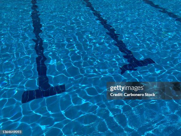 Line In Pool Swimming Lane Lines Photos and Premium High Res Pictures - Getty Images