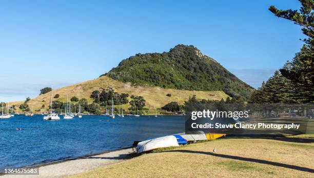 pilot bay - tauranga stock pictures, royalty-free photos & images