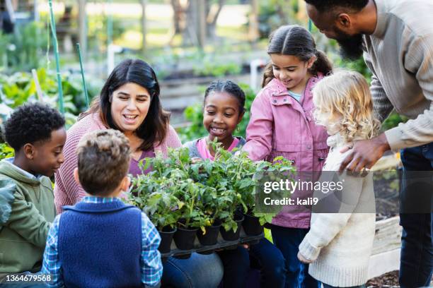 children learning about plants at community garden - community garden family stock pictures, royalty-free photos & images
