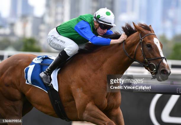Matthew Cartwright riding Decent Raine winning Race 2, the Furphy Refreshing Ale Trophy, during Melbourne Racing at Flemington Racecourse on January...