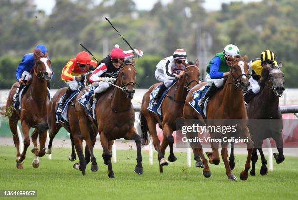 Matthew Cartwright riding Decent Raine winning Race 2, the Furphy Refreshing Ale Trophy, during Melbourne Racing at Flemington Racecourse on January...