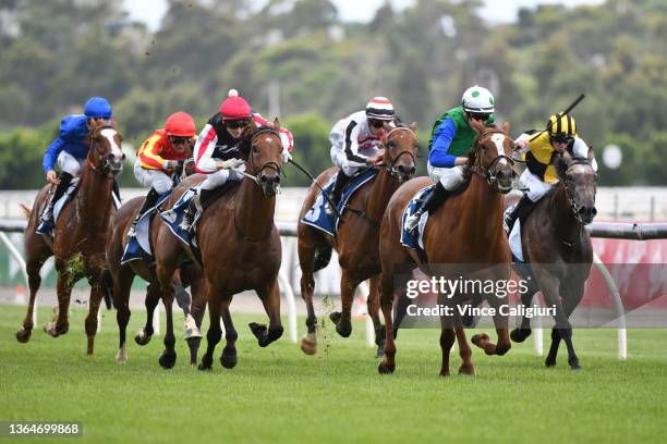 Matthew Cartwright riding Decent Raine winning Race 2, the Furphy Refreshing Ale Trophy, during Melbourne Racing at Flemington Racecourse on January...