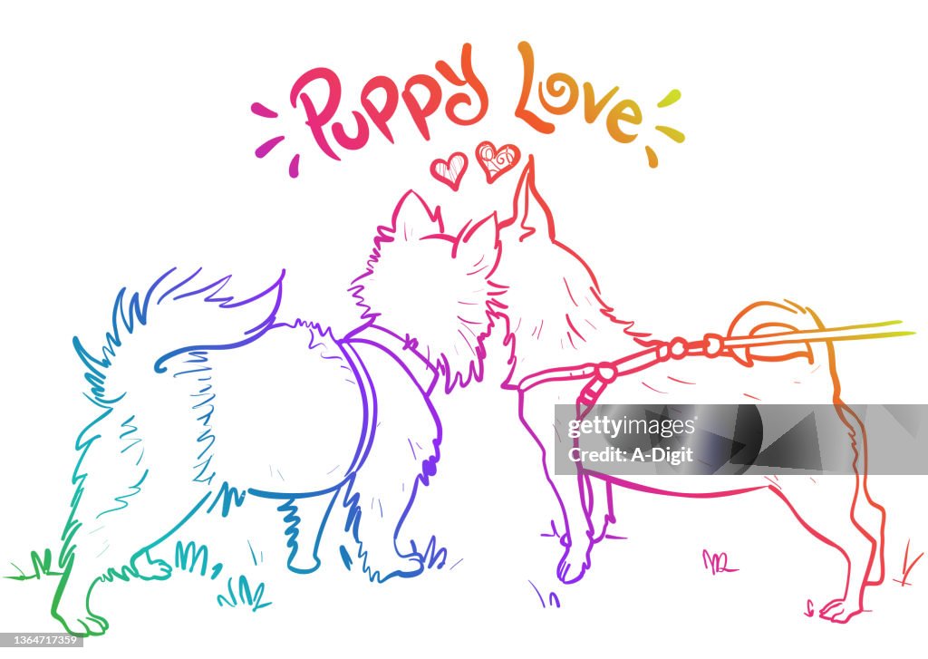 Puppy Love Arc-en-ciel