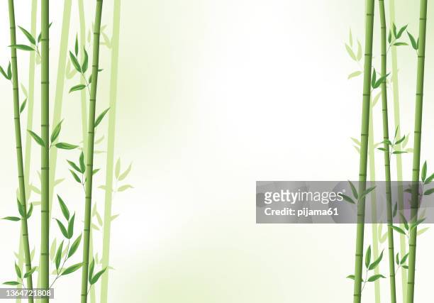 bildbanksillustrationer, clip art samt tecknat material och ikoner med bamboo forest banner. east asian tropical plants background. - bambu gräsfamiljen