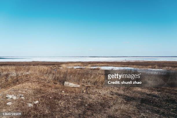 lakeshore in winter - snow on grass stock pictures, royalty-free photos & images