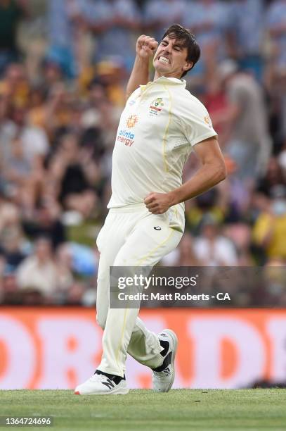 Australian captain Pat Cummins celebrates the wicket of England captain Joe Root during day two of the Fifth Test in the Ashes series between...