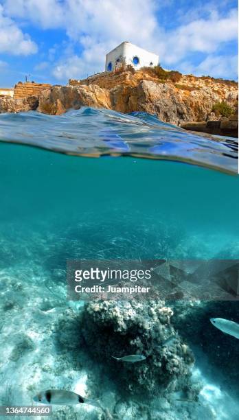 tabarca island seabeds - tabarca stockfoto's en -beelden
