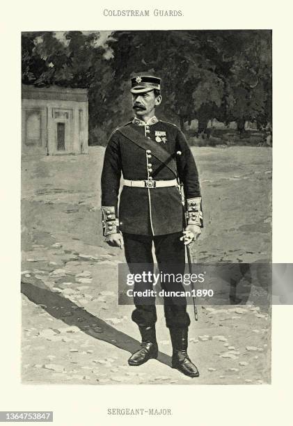 british army, sergeant major of the coldstream guards, victorian military uniforms, 19th century - coldstream guards stock illustrations