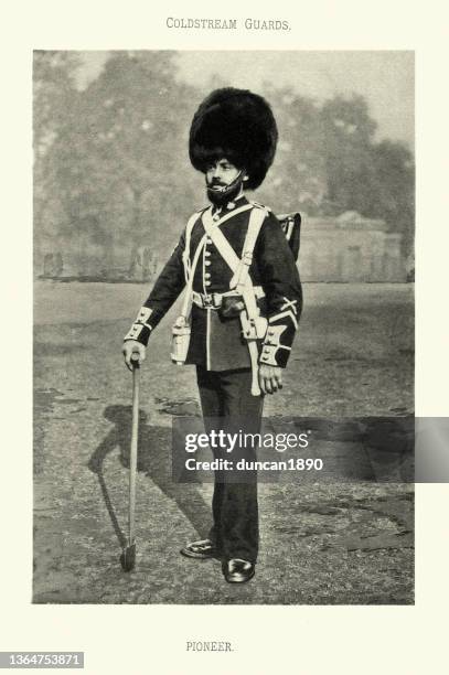 british army, pioneer of the coldstream guards, victorian military uniforms, 19th century - coldstream guards stock illustrations