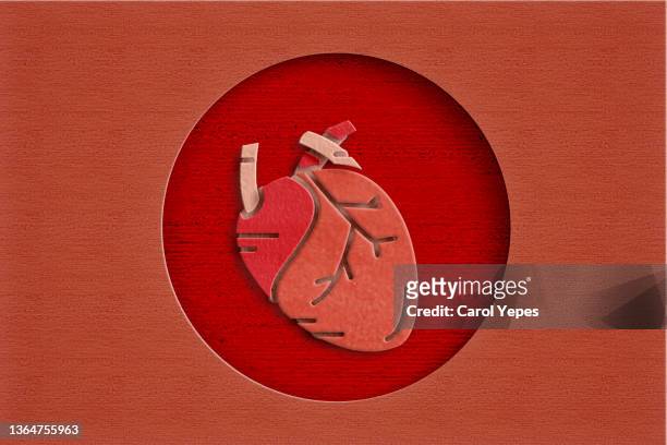 anatomic heart in red paper work - symptom stockfoto's en -beelden