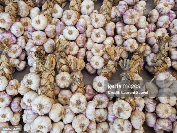 strings of garlic cloves at a french outdoor market - laurent sauvel photos et images de collection