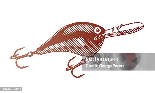 Fishing plug lure Fishing plug lure