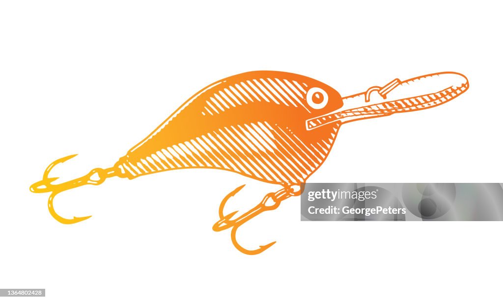 Fishing plug lure