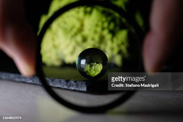 roman cabbage through a lens - magnifying glass nature stock-fotos und bilder