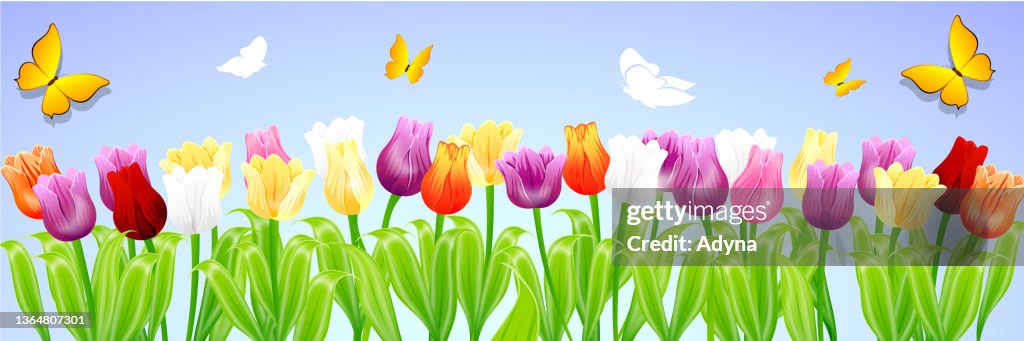 Spring Cocept Spring Concept High-Res Vector Graphic - Getty Images