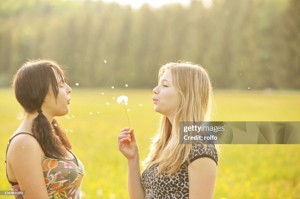 Girls having fun while blowing dandelion