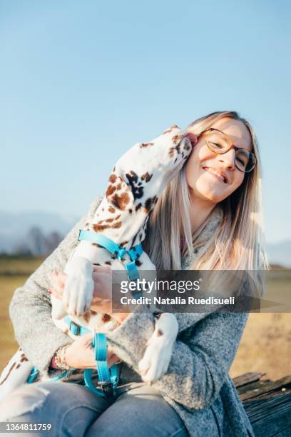 happy moment of a dalmatian dog kissing young blonde woman. - happy lady walking dog stockfoto's en -beelden