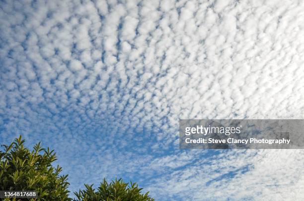 altocumulus cloud - altocúmulo fotografías e imágenes de stock