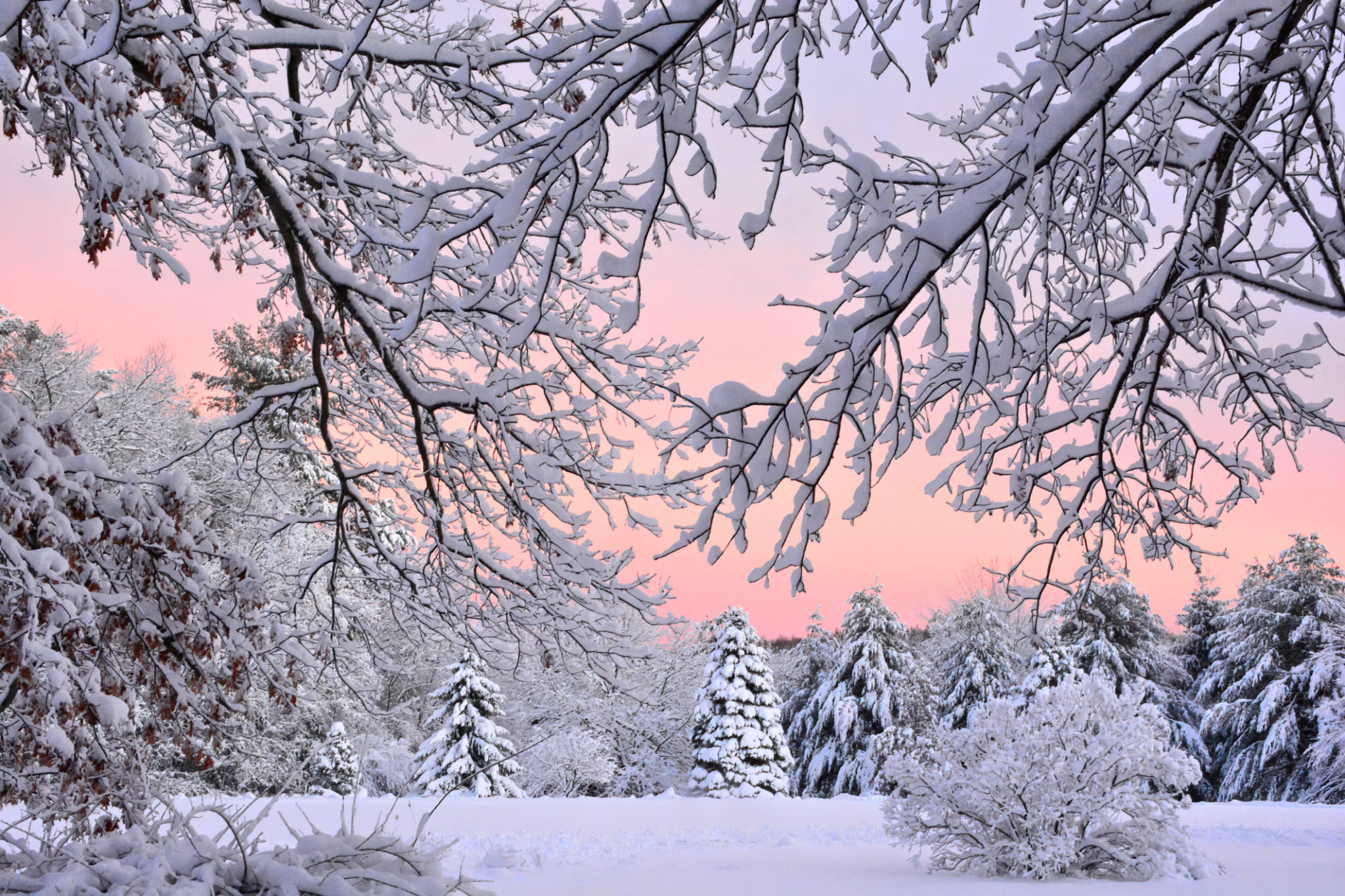 scenic winter landscape