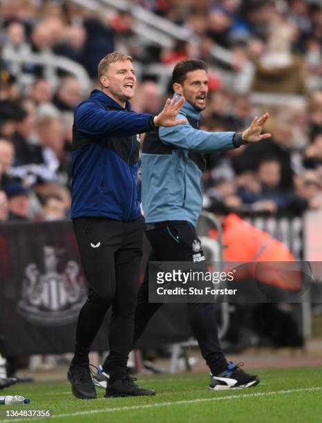 Newcastle manager Eddie Howe and assistant Jason Tindall react on the touchline during the Premier League match between Newcastle United and Watford...