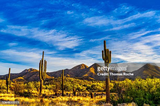 a beautiful sky over the arizona desert - southwest desert stock pictures, royalty-free photos & images