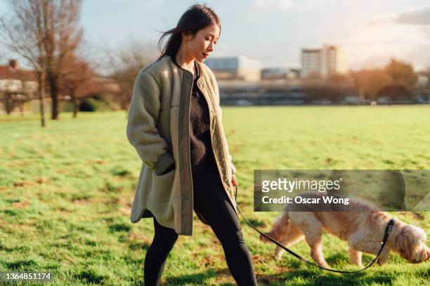 young asian woman walking her dog in the park on a sunny day - gehen stock-fotos und bilder
