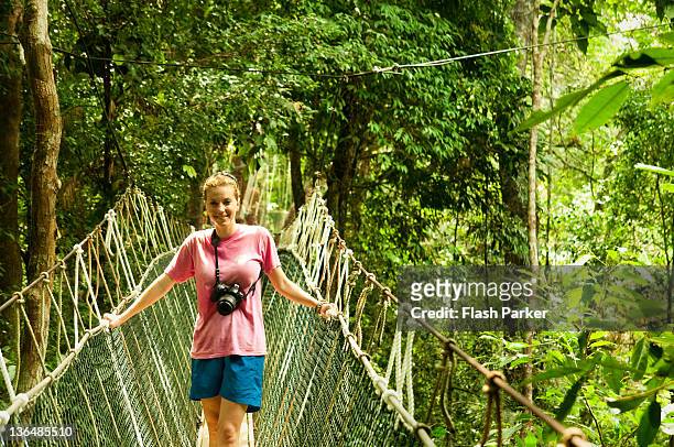 jungle voyager - touwbrug stockfoto's en -beelden