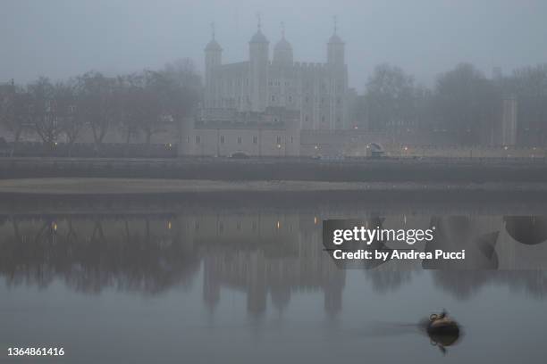 a foggy morning (london, united kingdom) - tower of london stock-fotos und bilder