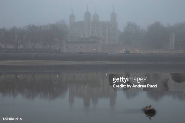 a foggy morning (london, united kingdom) - torre de londres fotografías e imágenes de stock