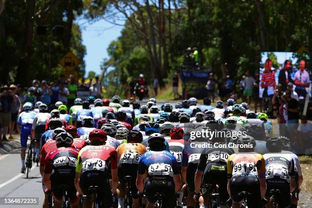 General view of the peloton competing during the Australian Cycling National Championships 2022 - Men's Elite Road Race a 185,6km race from Buninyong...