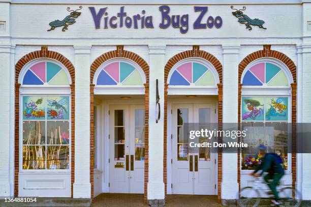 victoria, vancouver island - zoo stock pictures, royalty-free photos & images