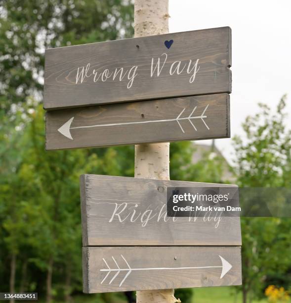 Direction Tree Sign Decision Tree Infographic Photos and Premium High Res Pictures - Getty ...