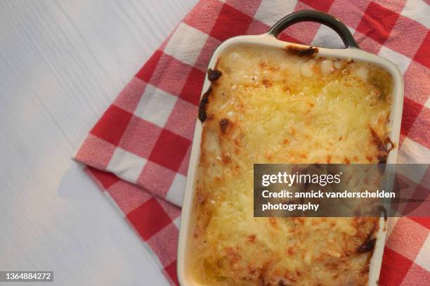 belgian endive rolls au gratin - chicory stock pictures, royalty-free photos & images