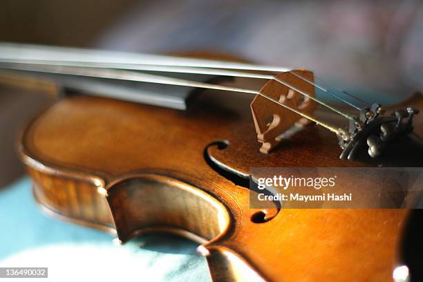 maggini's violin with beautiful sound - violine stock-fotos und bilder