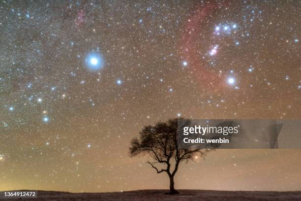 barnard's ring cloud is above a lonely tree - gemini stock pictures, royalty-free photos & images