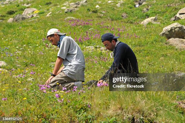 two men praying in the countryside - salat bildbanksfoton och bilder