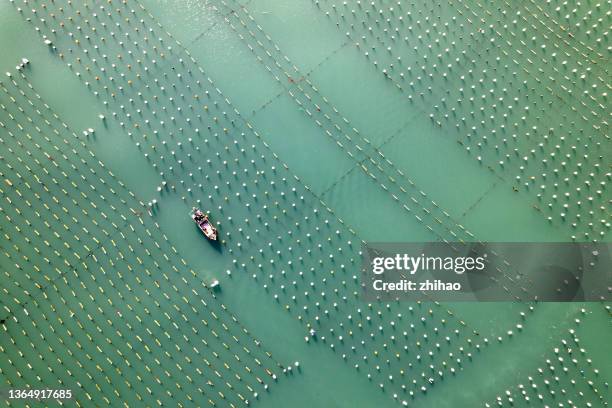 overlooking commercial fishing nets at sea - low carbon technology stockfoto's en -beelden