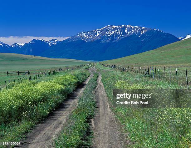 Oregon Prairie Zumwalt Prairie Photos and Premium High Res Pictures - Getty Images
